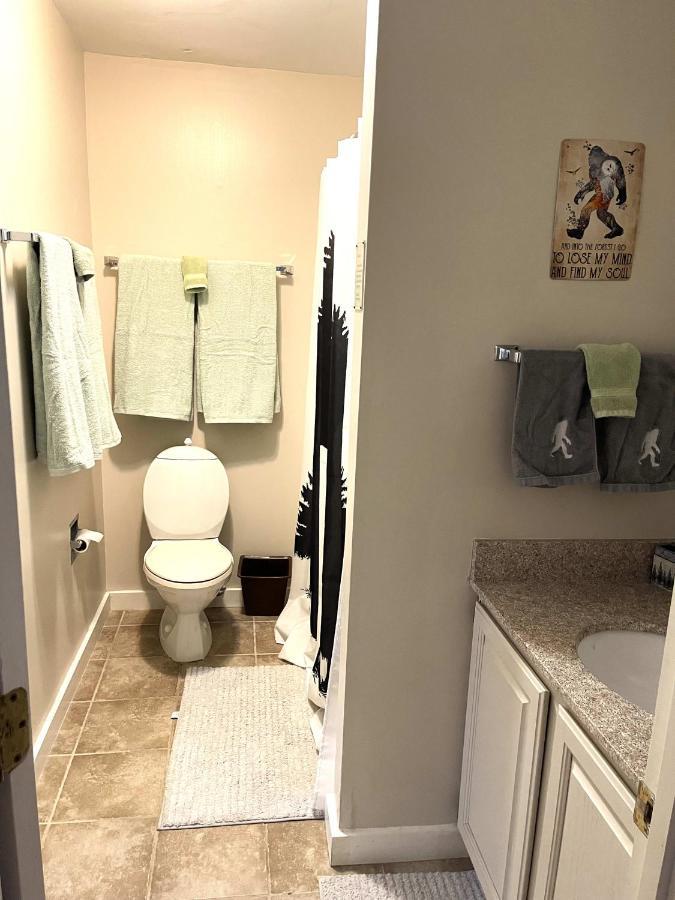 Unique Yeti-Theme Ski On Off Suite Jiminy-Sleeps 4 Hancock Zewnętrze zdjęcie